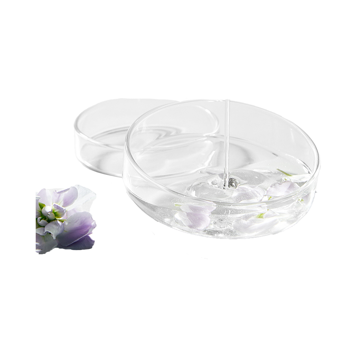 منظف ​​غسيل الملابس من إنزيم الشاي من جي بي